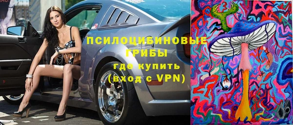 apvp Абаза