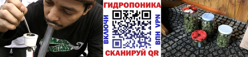 МАРИХУАНА индика Княгинино